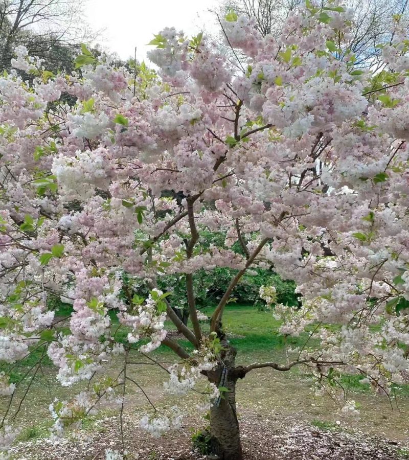 6月22日外汇交易提醒