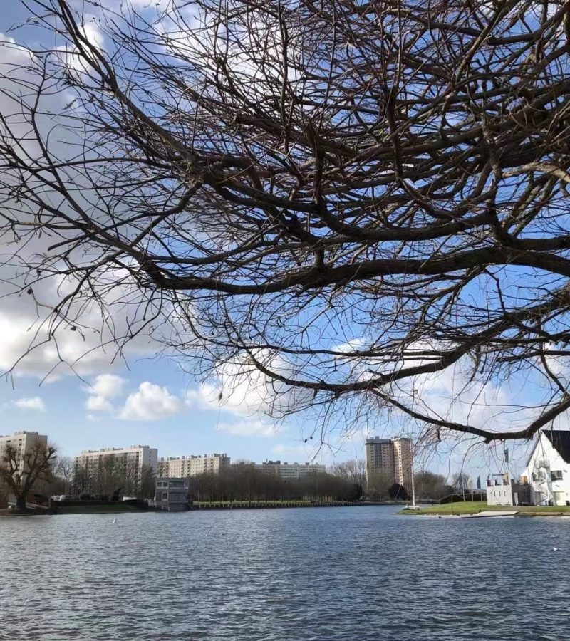 3月6日外汇交易提醒