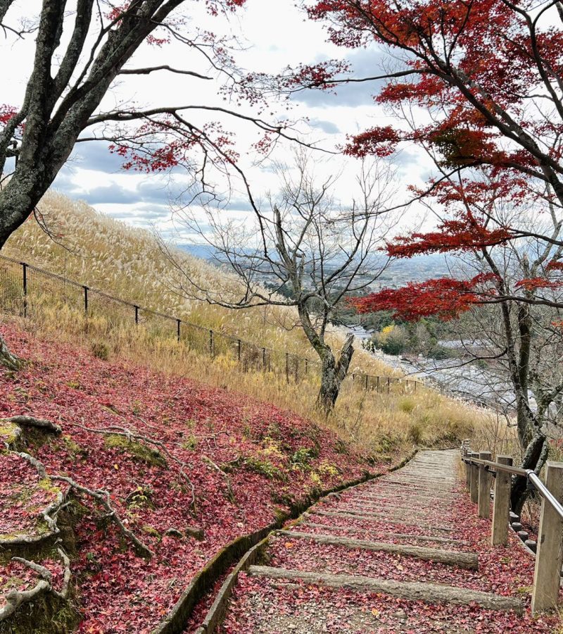 12月2日外汇交易提醒