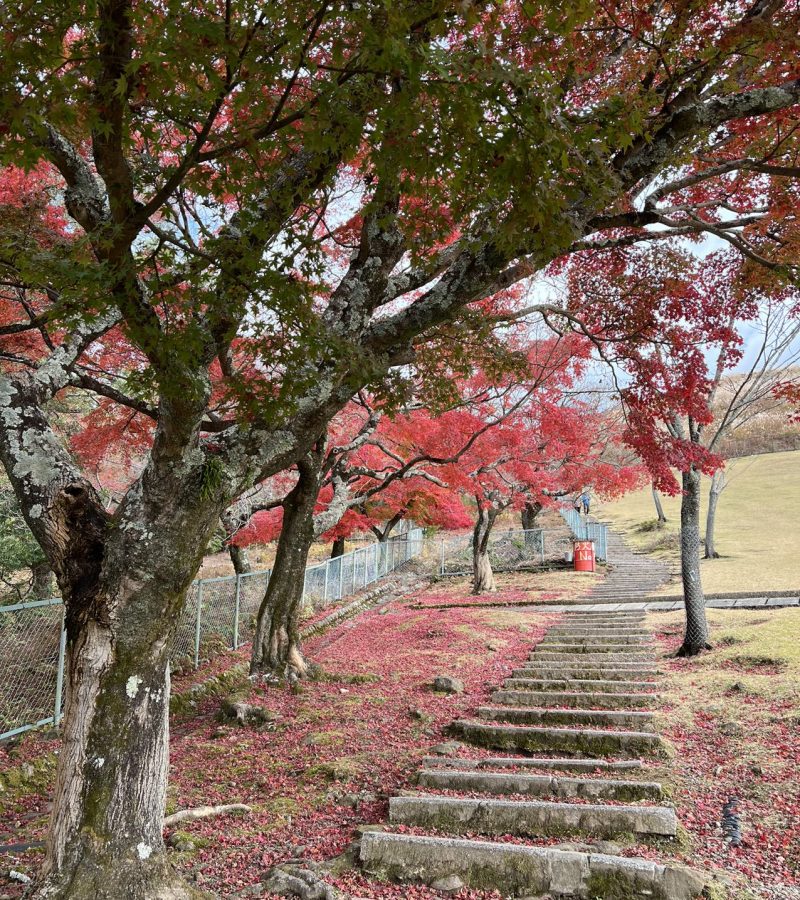 12月13日外汇交易提醒